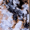 292576e9