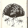 F067cbb0