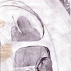 2d1ff494