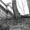 8cb17c2f
