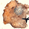 C7411742