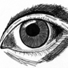 0fa67884