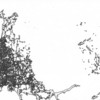 0952094a