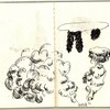 9b9f5581
