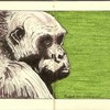 922a1b58