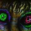 05e278d6