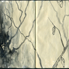 5c9ef922