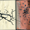 Ca662968