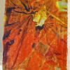 4383f086