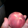 F0f34823
