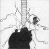C1f53466
