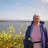 207880da