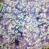 B579358d
