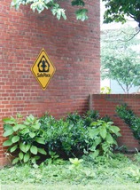 Safe.place
