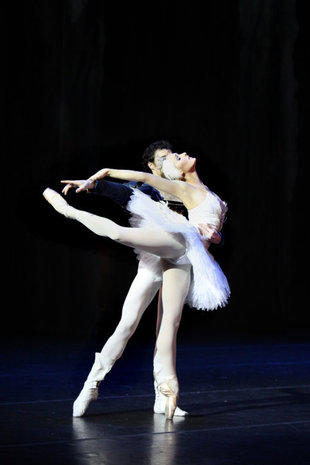 Ashley Ellis - Swan Lake, Corella Ballet 2010
