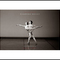 The Hamburg Ballet