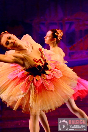 Ceclia Iliesiu - Cecilia Iliesiu in Carolina Ballet's "Nutcracker," as a demi-flower. 