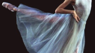 Tiler Peck