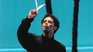 Thiago Bordin
