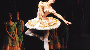 Zenaida Yanowsky