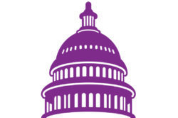 Youth & Government