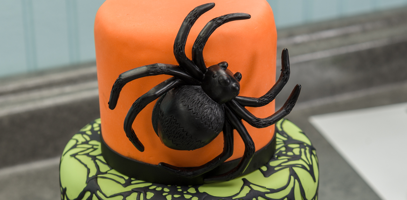 HowTo Make a 3Tier Spider &  Fondant Cake