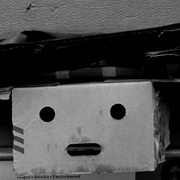 Dumpster_diver_thumb