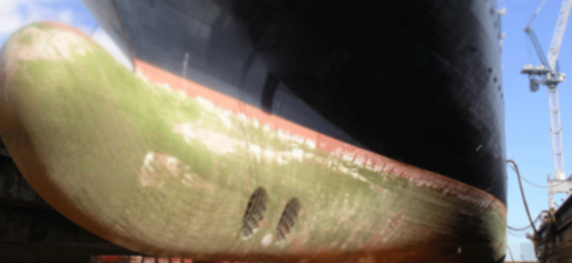 නැව් දැවි තෙල් අවිධිමත්ව පරිසරයට මුදාහැරලා