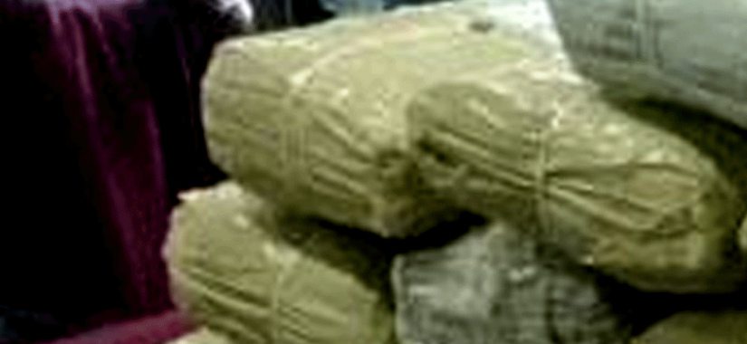බෝඩිම් කාමරයේ සැඟවූ ගංජා කිලෝ 88ක් හසුවේ
