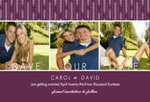 Hanging White Willow Save The Date