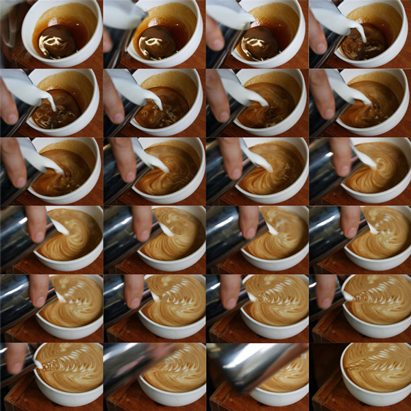 Creating a rosetta with time lapse photography — close-up