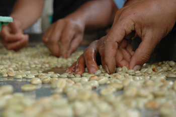 Good coffee is never cheap; cheap coffee is never good.