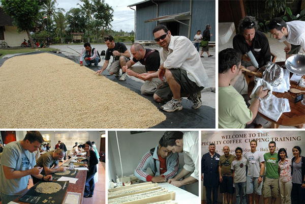 Second trip to identify a grower group in Bali that we can support and ultimately work with in the long term