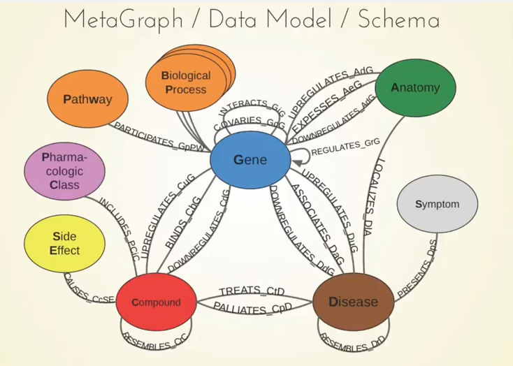Hetionet metagraph graphconnect