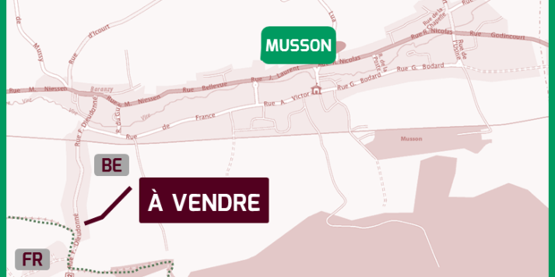 Musson-devlop-acces-cover