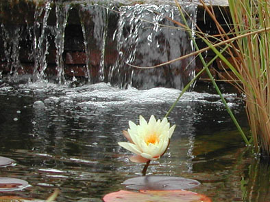 Holy_leisure_water_thumb