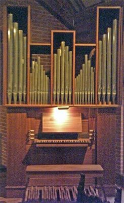 Organ_thumb