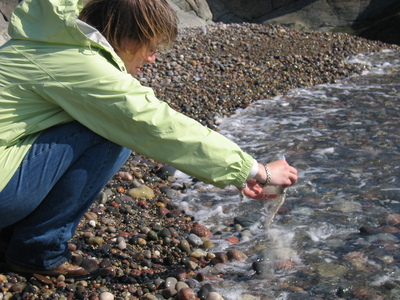 Veronica_on_the_isle_of_iona_2008_271_thumb