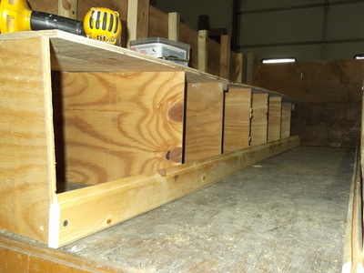 nest boxes nest boxes