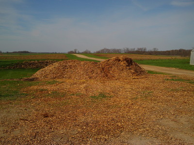 wood chip pile wood chips!