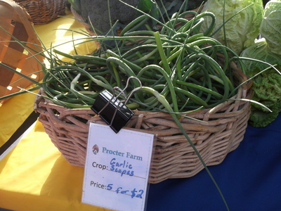 garlic scapes garlic scapes