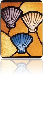 Shell