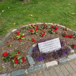 September 2019 Newsletter