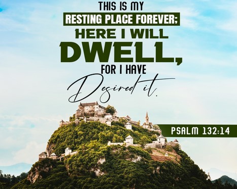 This Sunday, (November 24, 2024), at The Church of the Nativity and St. Stephen