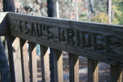 Esau's bridge at Camp McDowell