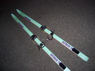 Telemark skis
