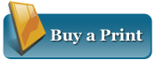 Buy Gotcha