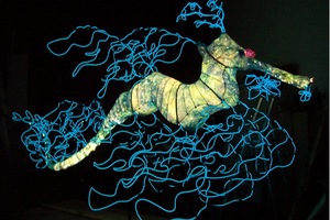 CooLight Electroluminescence