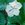 Annuals: Lagenaria siceraria
