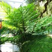 Img_7895
